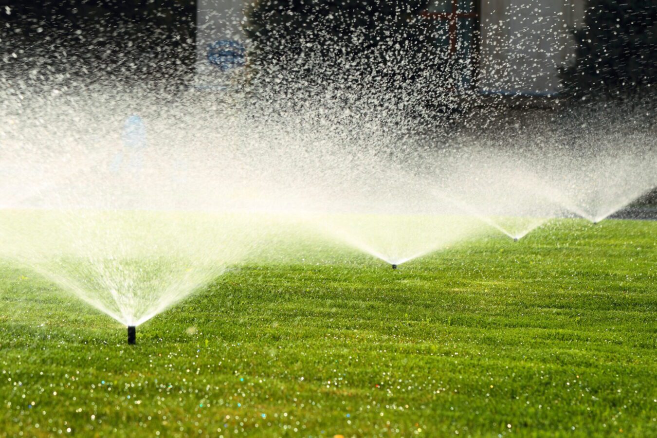 norfolk sprinkler guys