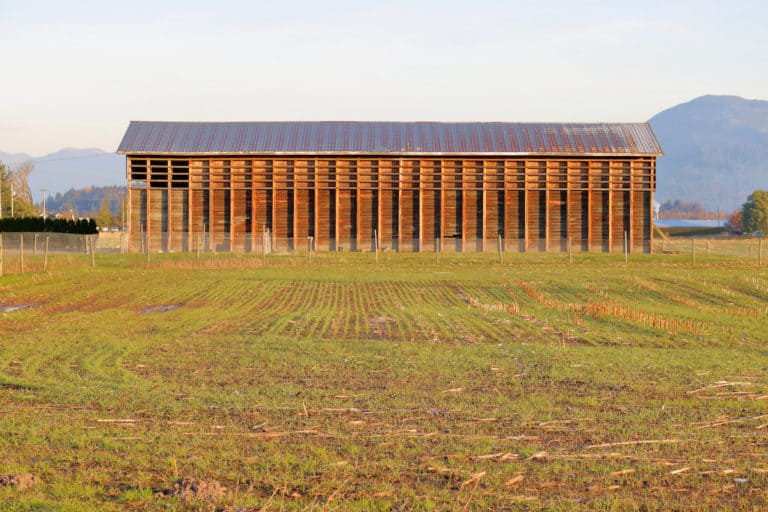 Side of an old barn